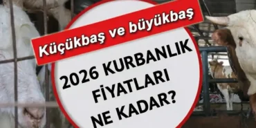 İL İL KURBAN FİYATLARI 2026! Büyükbaş ve küçükbaş kurbanlık fiyatları ne kadar, kaç TL? Koyun, keçi, dana, kuzu kurban bedelleri