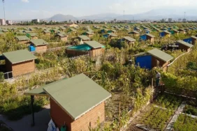 Hobi bahçeleri yasa teklifi SON DAKİKA 2026: Hobi bahçeleri yıkılacak mı? Tarım arazilerine yapılan evler, hobi bahçeleri yıkılacak mı?