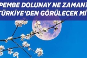 PEMBE DOLUNAY GELİYOR! Baharın habercisi Pembe Dolunay ne zaman, saat kaçta görülecek, Türkiye'den izlenecek mi?