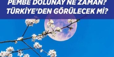 PEMBE DOLUNAY TARİHİ: Baharın habercisi Pembe Dolunay ne zaman, saat kaçta görülecek, Türkiye'den izlenecek mi?