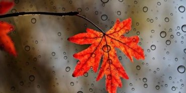 HAVA DURUMU SON DAKİKA: İstanbul'da bugün hava nasıl? Hafta sonu yağış var mı? 3 Nisan Cuma son hava durumu