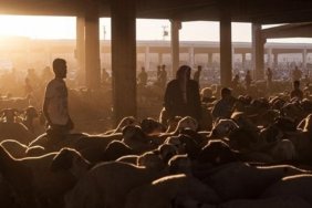 DİYANET KURBAN BAYRAMI TAKVİMİ || 2026 Kurban Bayramı ne zaman, hangi güne denk geliyor? Kurban Bayramı tatili kaç gün, 9 gün olacak mı?