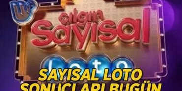 Çılgın Sayısal Loto sonuçları 20 Nisan 2026 || Milli Piyango Online Sayısal Loto sonuçları belli oluyor