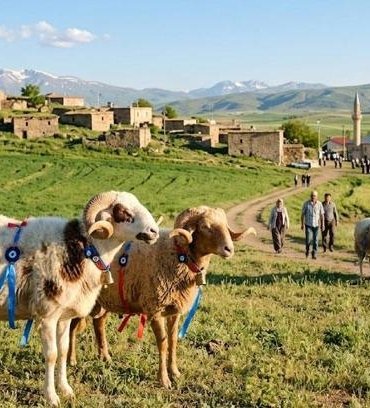 Kurban Bayram Tatili Ne Zaman, Bayram Tatili Kaç Gün Olacak? 2026 Kurban Bayramı Tatili 9 Gün Mü, Ne Zaman Başlıyor, Ne Zaman Bitiyor?