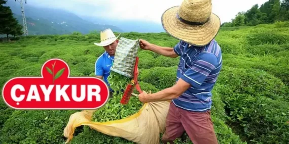 ÇAYKUR sözleşmeli personel alımı yapacak mı, ne zaman?