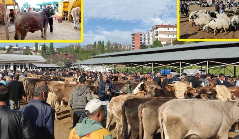 Diyanet 2026 vekalet kurban fiyatları açıklandı: Yurt içi ve yurt dışı hisse bedeli ne kadar?