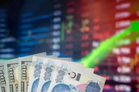 TÜİK verileri açıklandı: O araçlara yatırım yapanlar yıl boyunca kazanç sağladı