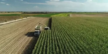 TC kimlik numarası son hanesine göre yatıyor! Mazot ve gübre desteği ödemeleri yattı mı? ÇKS 2026 Nisan ayı mazot gübre desteği sorgulama ekranı