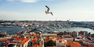 İstanbul'da 5 yeni ilçe mi kurulacak? İslam Memiş'ten çok konuşulacak iddia geldi