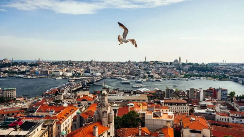 İstanbul'da 5 yeni ilçe mi kurulacak? İslam Memiş'ten çok konuşulacak iddia geldi