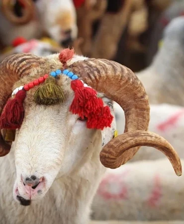 Kurban Bayramı ne zaman, tatil 9 gün olur mu? 2026 için ilk hesap ortaya çıktı