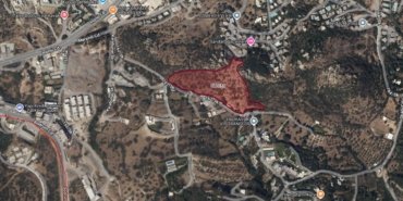 Bodrum’da İcradan Zeytinlik ve Tarla Satışı: Milyonluk Araziler İhaleye Çıkıyor