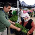 ‘Üreten Bodrum Buluşması’nda üreticilere fide dağıtıldı