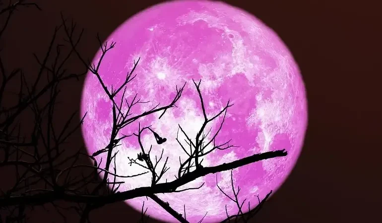 Pembe Dolunay Türkiye'de ne zaman ve saat kaçta görülecek? Pembe Dolunay ne zaman en net izlenir?