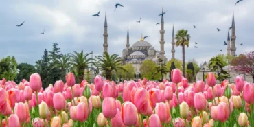 Lale mevsimi geldi! 2026 İstanbul Lale Festivali ne zaman bitiyor? İstanbul Lale Festivali nerede yapılacak?