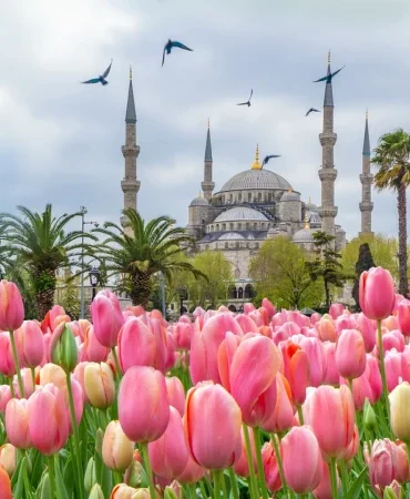 Lale mevsimi geldi! 2026 İstanbul Lale Festivali ne zaman bitiyor? İstanbul Lale Festivali nerede yapılacak?