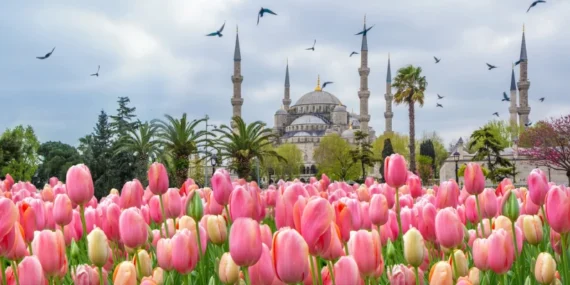 Lale mevsimi geldi! 2026 İstanbul Lale Festivali ne zaman? İstanbul Lale Festivali nerede yapılacak?