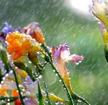 Nisan yağmuru faydaları neler? Nisan yağmurları şifası ile ilgili hadisi nedir?