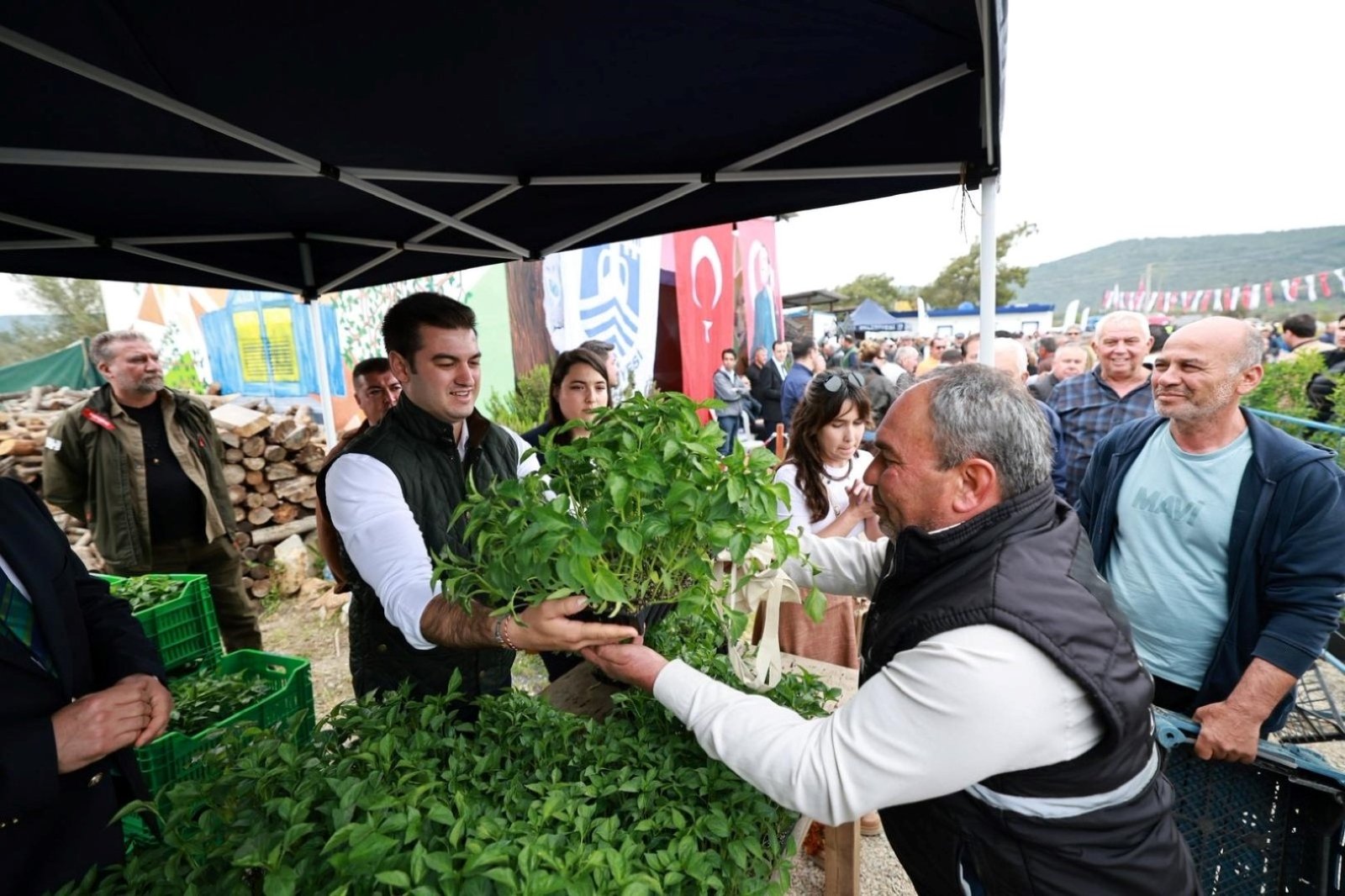 ‘Üreten Bodrum Buluşması’nda üreticilere fide dağıtıldı 