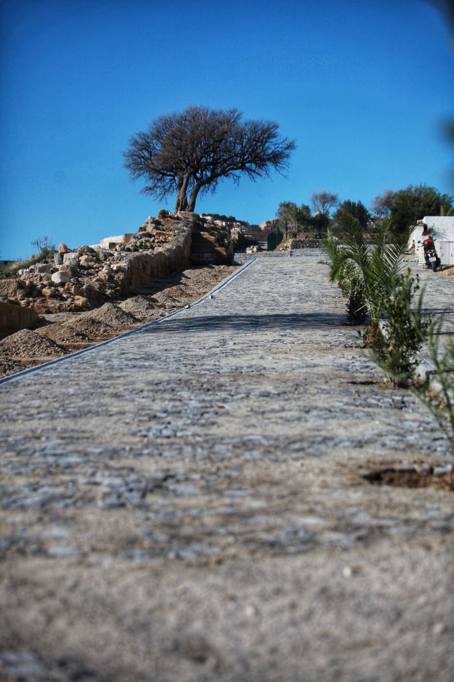 BODRUM’DA TURİZM HAFTASI COŞKUSU: TARİHİ SURDA ANLAMLI YÜRÜYÜŞ