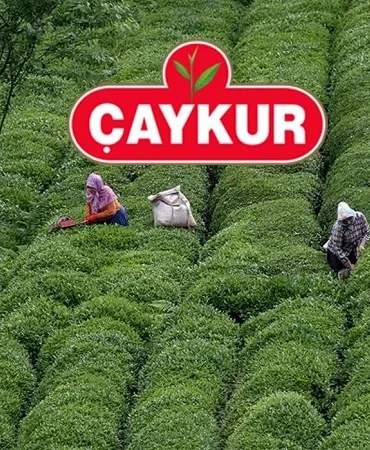 ÇAYKUR işçi alımı 2026 başvuruları ne zaman başlayacak, şartlar açıklandı mı? Mevsimlik işçi alımı başvuru ve kadro detayları