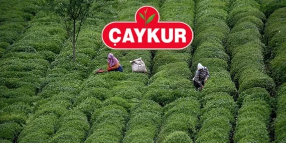 ÇAYKUR işçi alımı 2026 başvuruları ne zaman başlayacak, şartlar açıklandı mı? Mevsimlik işçi alımı başvuru ve kadro detayları