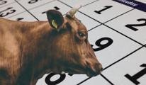 BAYRAM NE ZAMAN, BAYRAMDA TATİL KAÇ GÜN? Bayram tatili 9 gün oldu mu? 2026 Kurban Bayramı ne zaman, ayın kaçında?