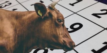 KURBAN BAYRAMI NE ZAMAN, BAYRAMDA TATİL KAÇ GÜN? Bayram tatili 9 gün oldu mu? 2026 Kurban Bayramı ne zaman, ayın kaçında?