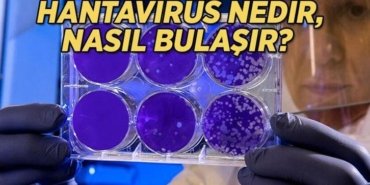 Gemide tespit edilen Hantavirüs nedir, nasıl bulaşır? Hantavirüs belirtileri nelerdir?