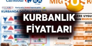 KURBANLIK FİYATLARI Migros, CarrefourSA, Biçen: Marketlerde kurbanlık fiyatları ne kadar? 2026 Migros, Carrefour büyükbaş, küçükbaş kurbanlık fiyatları