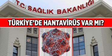 İŞTE SAĞLIK BAKANLIĞI'NIN AÇIKLAMASI ❗ Hantavirüs Türkiye'de var mı? Türkiye'de Hantavirüs vakası teşhisi konuldu mu?