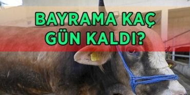 KURBAN BAYRAMI BAŞLANGIÇ VE BİTİŞ TARİHİ 2026: Bayrama kaç gün kaldı? 2026 Kurban Bayramı ne zaman, hangi gün?