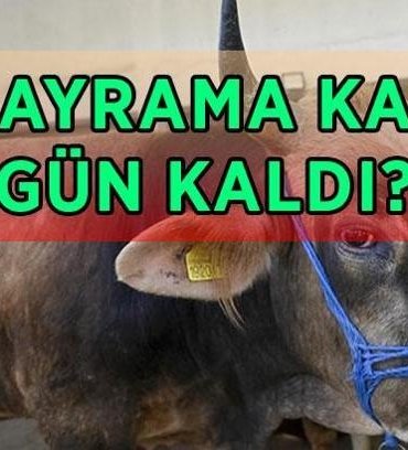 KURBAN BAYRAMI BAŞLANGIÇ VE BİTİŞ TARİHİ 2026: Bayrama kaç gün kaldı? 2026 Kurban Bayramı ne zaman, hangi gün?
