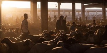 BAYRAMA KAÇ GÜN KALDI? 2026 Kurban Bayramı hangi gün, bugünden itibaren kaç gün kaldı? Bayram tatili hafta sonu ile birleşti mi?