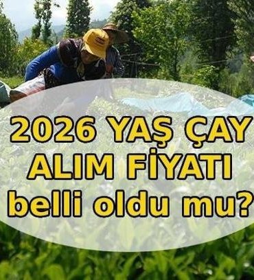 YAŞ ÇAY ALIM FİYATI 2026 || Yaş çay alım fiyatı açıklandı mı, ne zaman açıklanacak? Yaş çay kilogram alım fiyatı belli oldu mu?