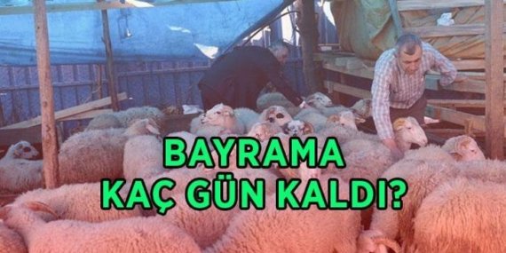 BAYRAMA KAÇ GÜN KALDI? Yılın ikinci dini bayramı 2026 Kurban Bayramı ne zaman? Bayram tatili 9 güne uzatıldı mı, kaç gün?