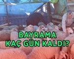 BAYRAMA KAÇ GÜN KALDI? 2026 Kurban Bayramı ne zaman, hangi tarihlerde? Bayram tatili uzatıldı mı, kaç gün?