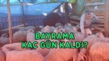 BAYRAMA KAÇ GÜN KALDI? 2026 Kurban Bayramı ne zaman, hangi tarihlerde? Bayram tatili uzatıldı mı, kaç gün?