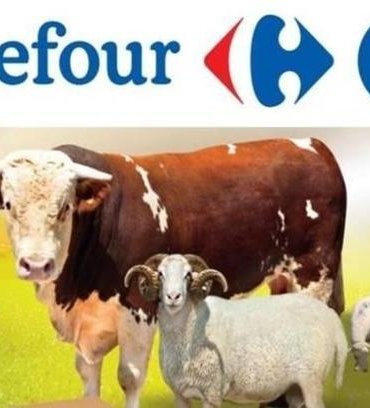 CARREFOUR KURBANLIK FİYATLARI 2026: Carrefour büyükbaş, küçükbaş kurbanlık fiyatları ne kadar?