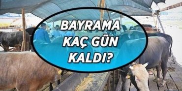 KURBAN BAYRAMI KAÇ GÜN KALDI? Kurban Bayramı ayın kaçında başlayacak? Bayram tatili başlangıç ve bitiş tarihleri...