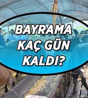 KURBAN BAYRAMI KAÇ GÜN KALDI? Kurban Bayramı ayın kaçında başlayacak? Bayram tatili başlangıç ve bitiş tarihleri...