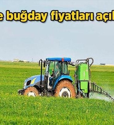 2026 Buğday fiyatları: Arpa ve buğday fiyatları açıklandı mı, ne zaman açıklanacak? Hububat, arpa ve buğday alım fiyatı