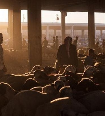 BAYRAMIN 1. GÜNÜ NE ZAMAN? 2026 Kurban Bayramı hangi gün başlıyor? Kurban Bayramı tarihleri