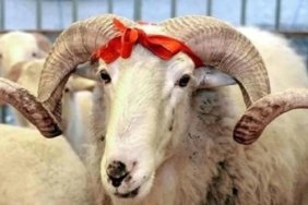 KURBAN KESMEK FARZ MIDIR? Kimler kurban kesmekle yükümlüdür?