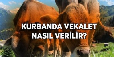 Kurban vekaleti nasıl verilir, vekalet verilirken ne denir? Kurban vekaleti ne zaman, kimlere verilir?