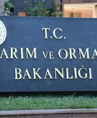Tarım ve Orman Bakanlığı DKMP personel alımı 2026: Başvuru tarihi, şartlar ve kadro dağılımı belli oldu