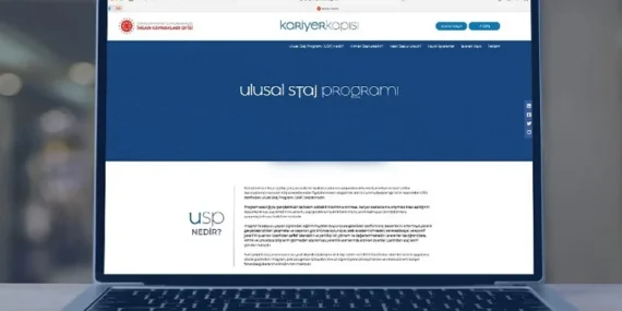 Ulusal Staj Programı başvuru sonuç sorgulama ekranı 2026! Ulusal Staj Programı Sonuçları açıklandı mı?