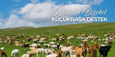 Kırsalda Bereket Küçükbaşa Destek Projesi ne zaman açıklanacak?