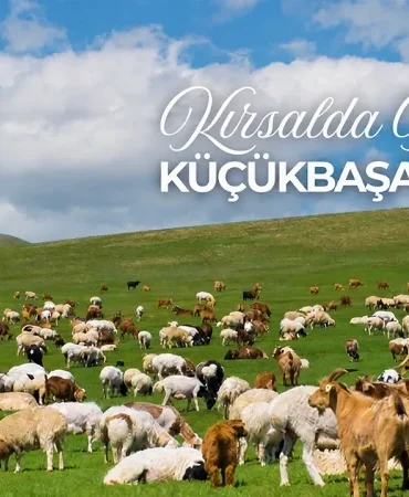 Kırsalda Bereket Küçükbaşa Destek Projesi ne zaman açıklanacak?