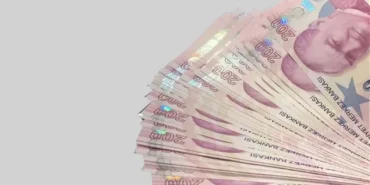 Analık Ödeneği Doğum Parası Ne Kadar Oldu? Başvuru Yapmadan Emzirme Ödeneği Süt Parası Alma Yöntemi!